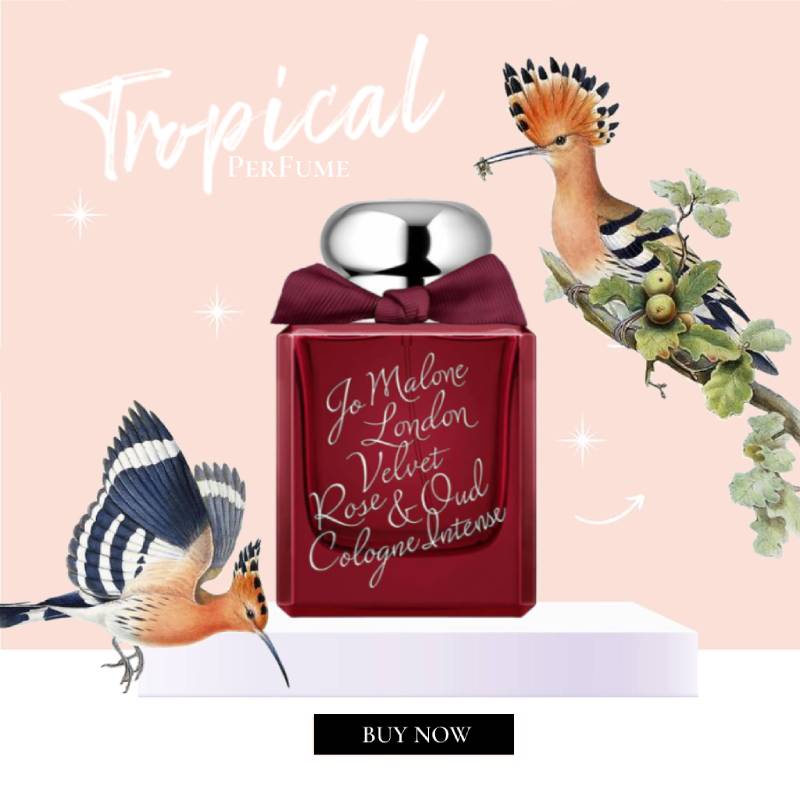 Nước hoa Jo Malone Velvet Rose & Oud Eau De Cologne Intense - 5𝘮𝘭/10𝘮𝘭