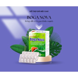 Giải độc gan, mát gan – Boga Nova