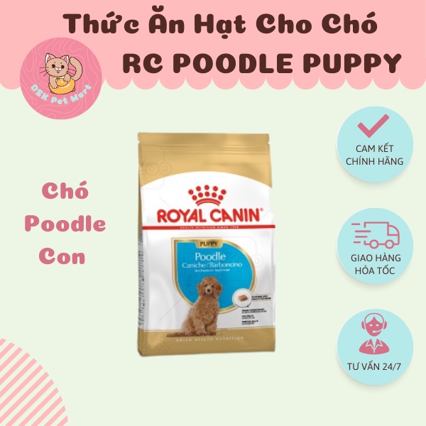 Royal Canin Poodle Puppy - Thức Ăn Hạt Cho Chó Poodle Con