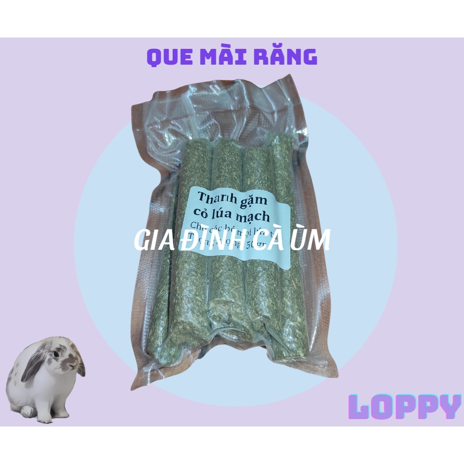 QUE MÀI RĂNG ăn vặt cho thỏ/chuột lang