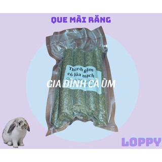 Que mài răng ăn vặt cho thỏ/chuột lang/ hamster/ sóc