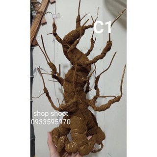 GỐC BONSAI C1( CAO 35cm) LÀM THÂN MAI ĐÀO
