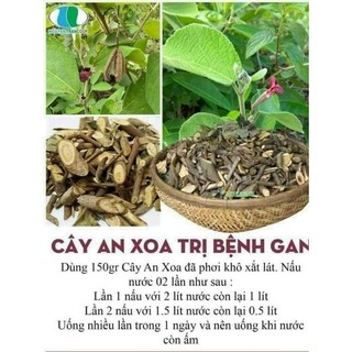 Cây an xoa