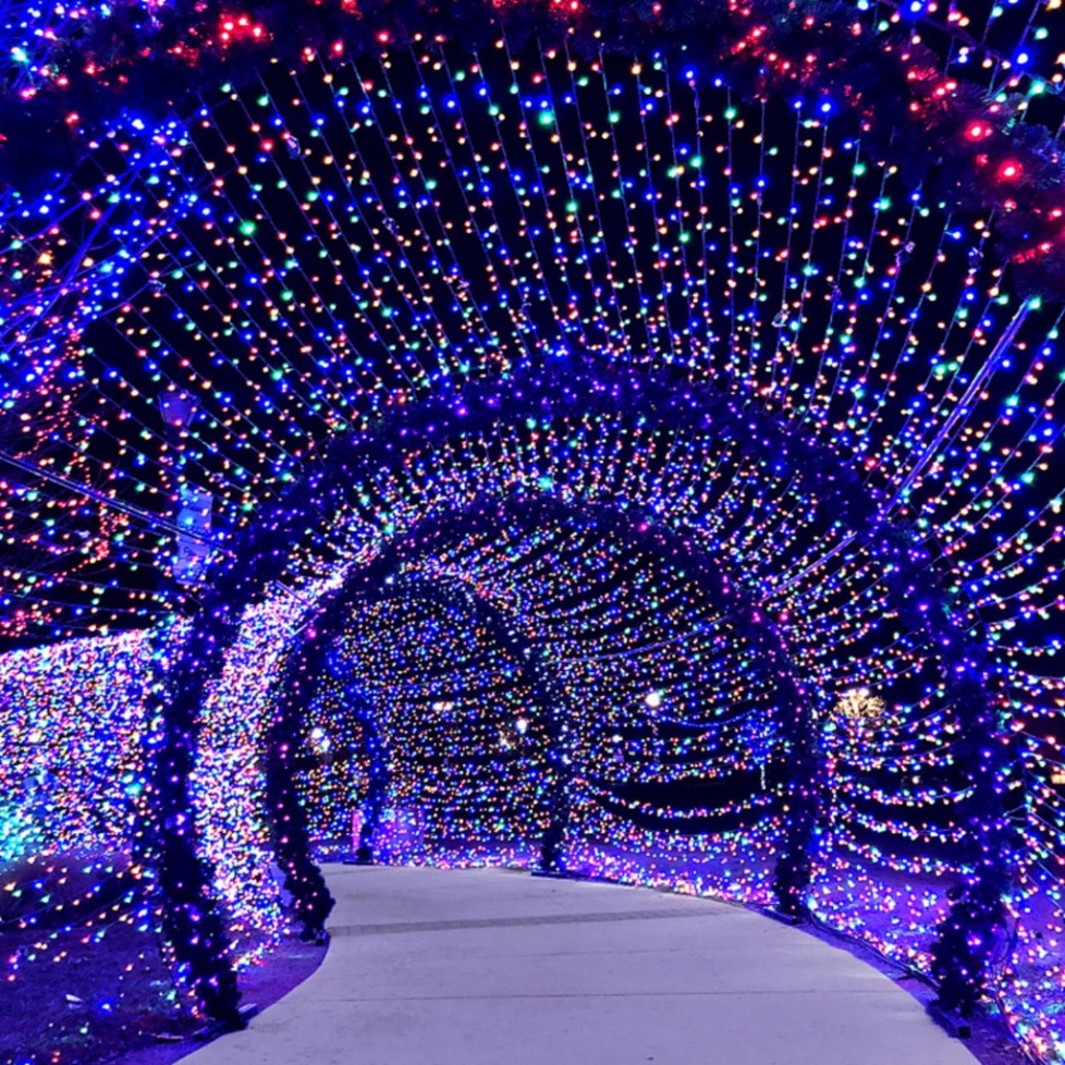 Dây đèn LED chớp 4.5m, dây đèn trang trí chuồng chó mèo, Noel Và Tết tiện lợi