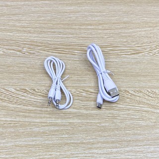 Loa Karaoke Bluetooth YS-218 kèm 2 micro không dây
