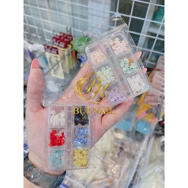 SET 6MÀU HOA NHÍ MIX BI