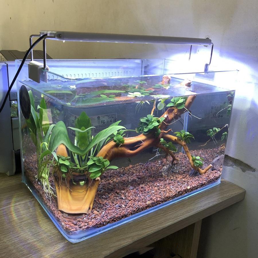 Đèn Led bể cá, hồ cá AQUARIUM siêu sáng - Đèn MÁNG KẸP cho hồ Cá Tép, Thuỷ Sinh giá rẻ