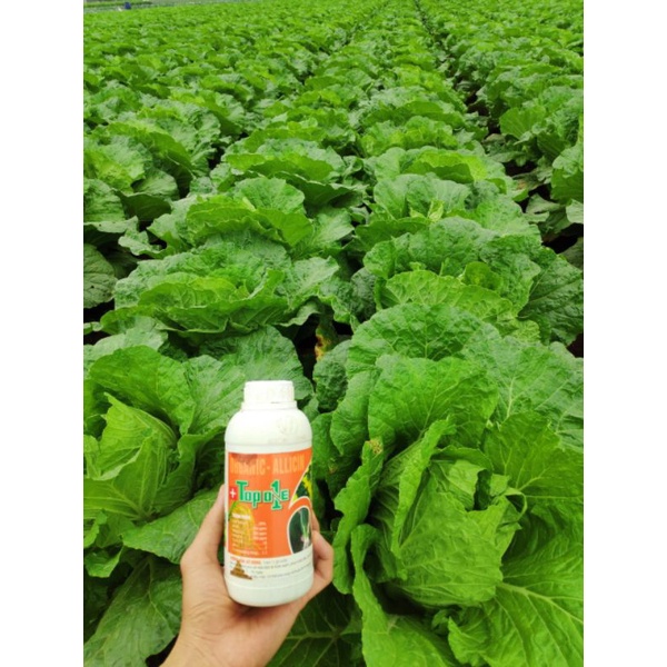 PHÂN BÓN HỮU CƠ TOPON