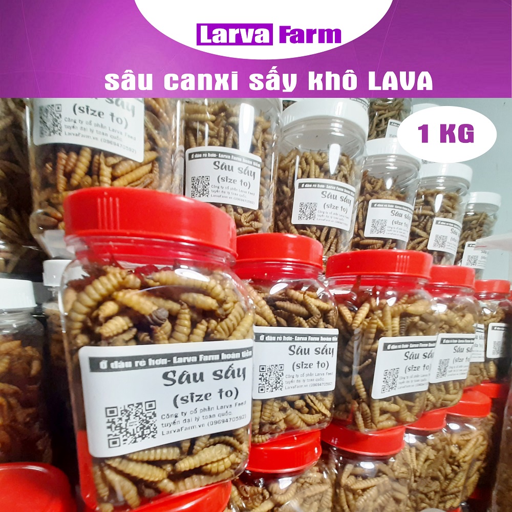 Sâu canxi sấy LAVA 1kg- Loại đặc biệt (vàng đẹp, không khét)