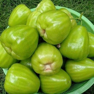 Mận đường xanh