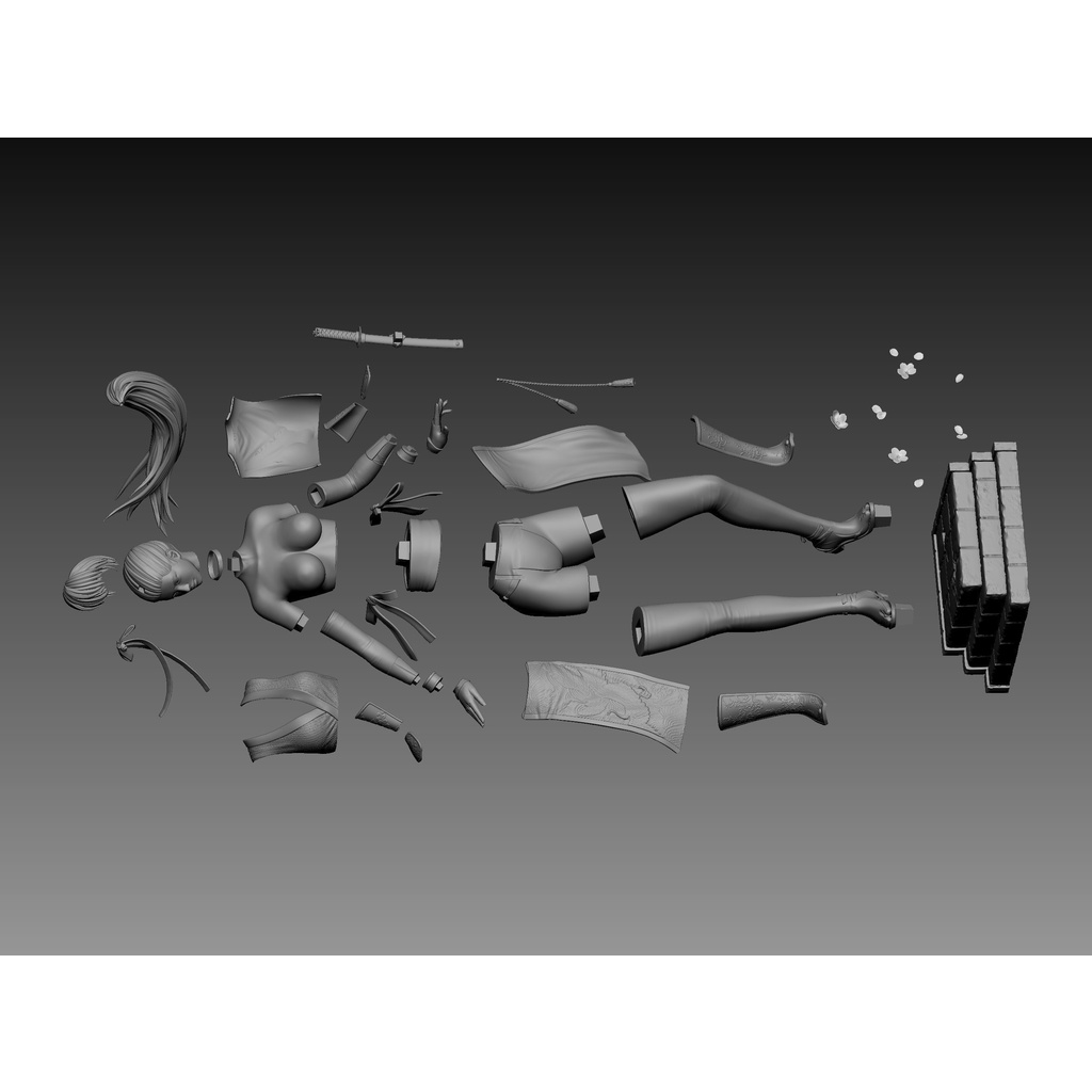 File in 3D Dead or Alive Kasumi