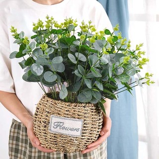 cành táo mốc trang trí, cành lá điểm