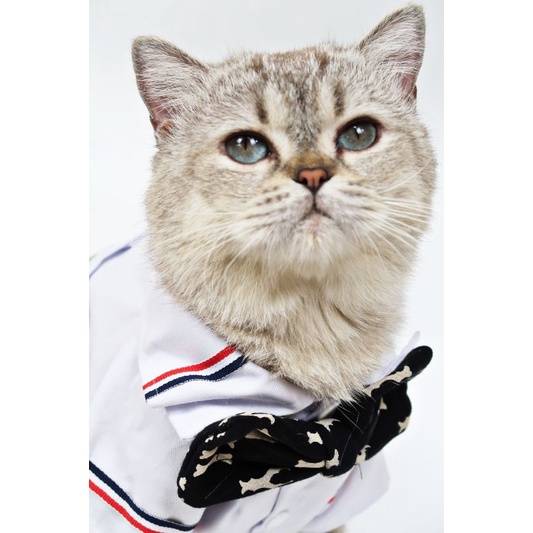 Quần áo chó mèo Áo sơ mi NY trắng họa tiết 3 sọc màu vừa phong cách vừa sang chảnh