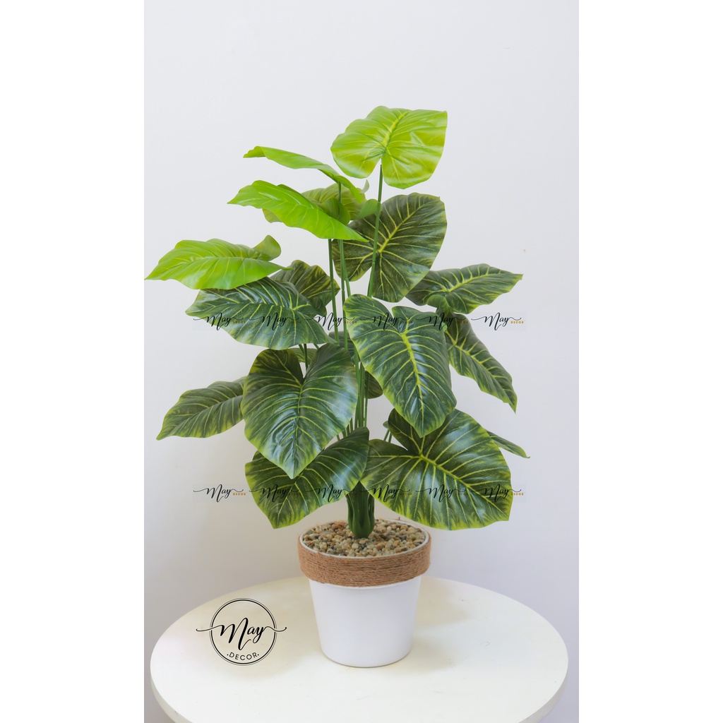 Cây giả, Chậu cây môn giả trang trí 80cm kèm chậu