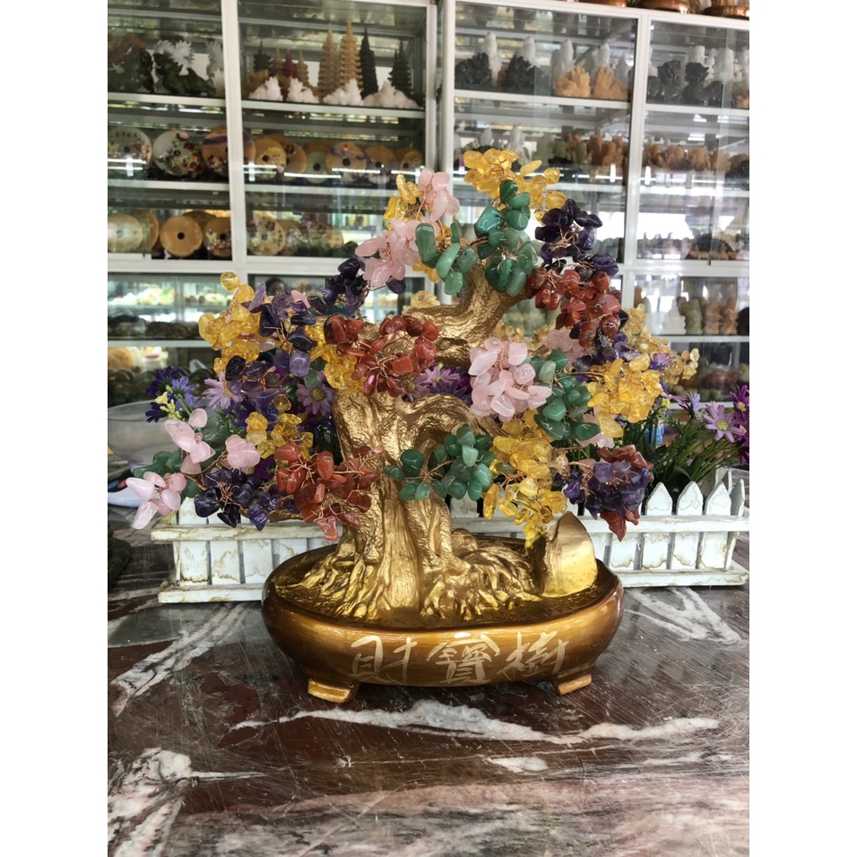 Cây Tài Lộc bonsai phong thủy đá TA. ngũ sắc - Cao 40 cm