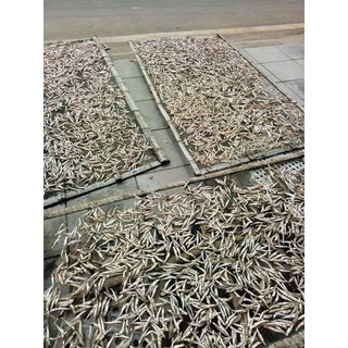 Cá Cơm Khô Sạch Nhạt Cô Tô túi 500gr