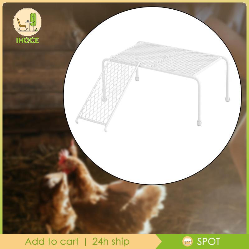 Dụng Cụ Khay Lưới Đựng Thức Ăn Gà Màu Trắng Siêu Bền Tiện Dụng Cho Nhà Nông Trại