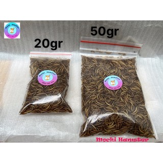 Sâu gạo, sâu mini sấy khô cho hamster