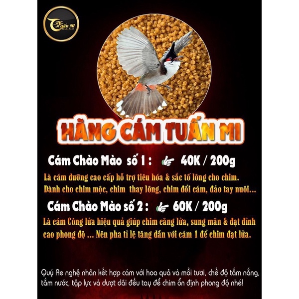 CÁM CHÀO MÀO SỐ 1 TUẤN MI