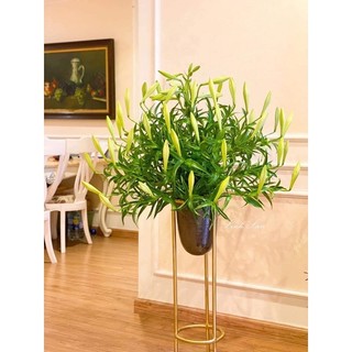 Chậu đồng cắm hoa