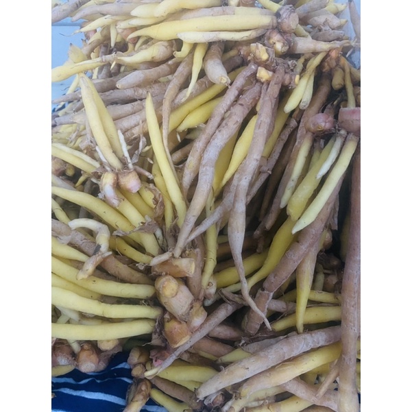 Củ ngãi bún tươi 500gram