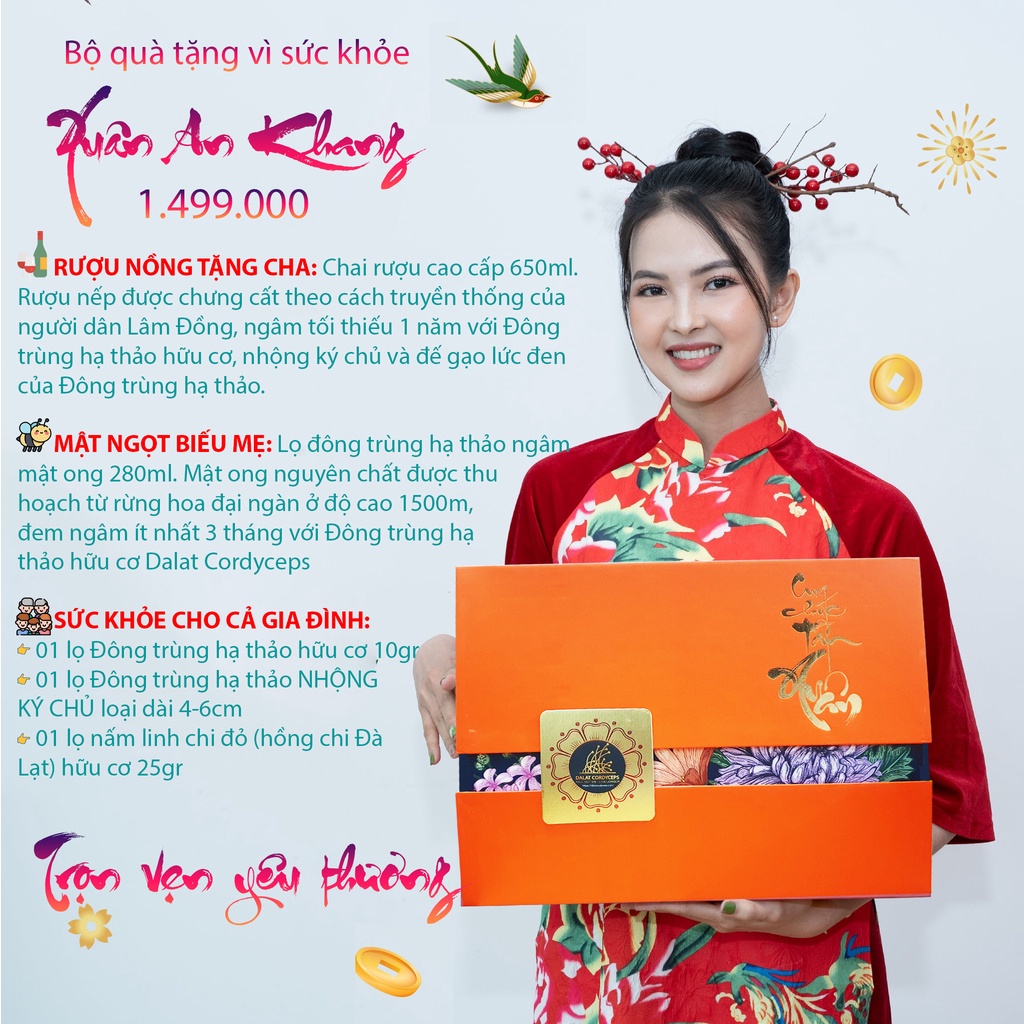 Đông trùng hạ thảo hữu cơ, hộp quà tặng cao cấp, Dalat Cordyceps