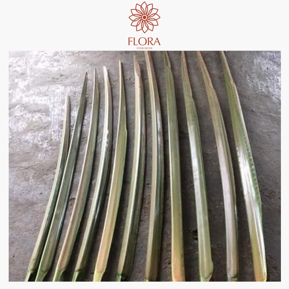 Lá cọ non nõn cọ cắm hoa , trang trí decor siêu đẹp chụp hình FLORA DECOR store