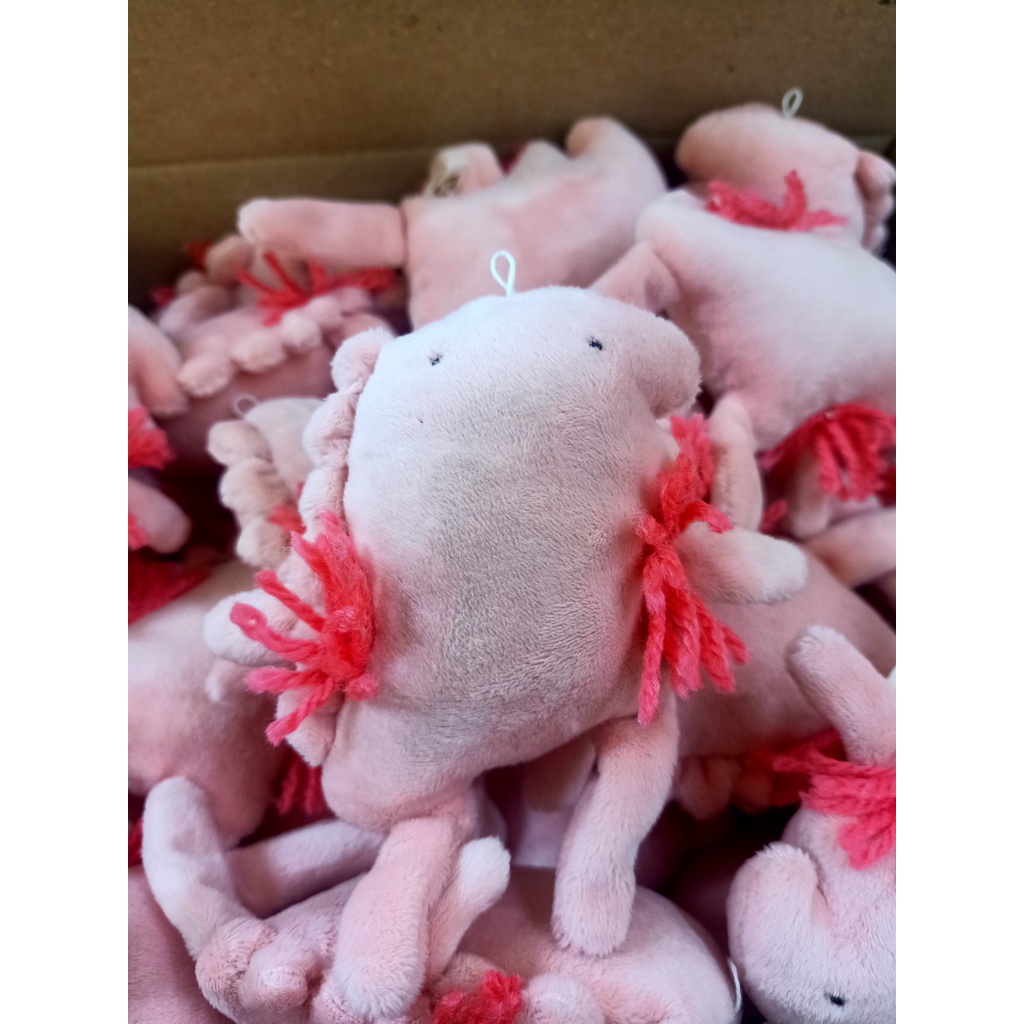 Khủng Long Nách Nhí 14cm - Gấu Bông Đình May