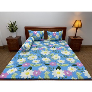 [2m*2m]Bộ ga gối4 món  thun lạnh Hàn Quốc
