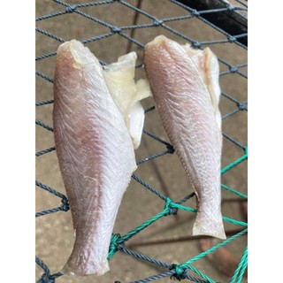 Đù 1 nắng cần giờ .500g