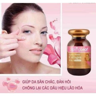 Viên uống collagen 6 in 1 spring leaf inner beauty plus của úc