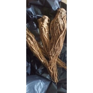 100Gr Sâm đương quy khô