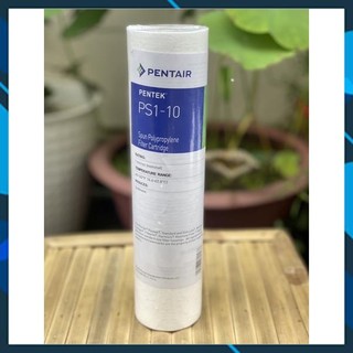 Lõi lọc thô pentair ps1-10