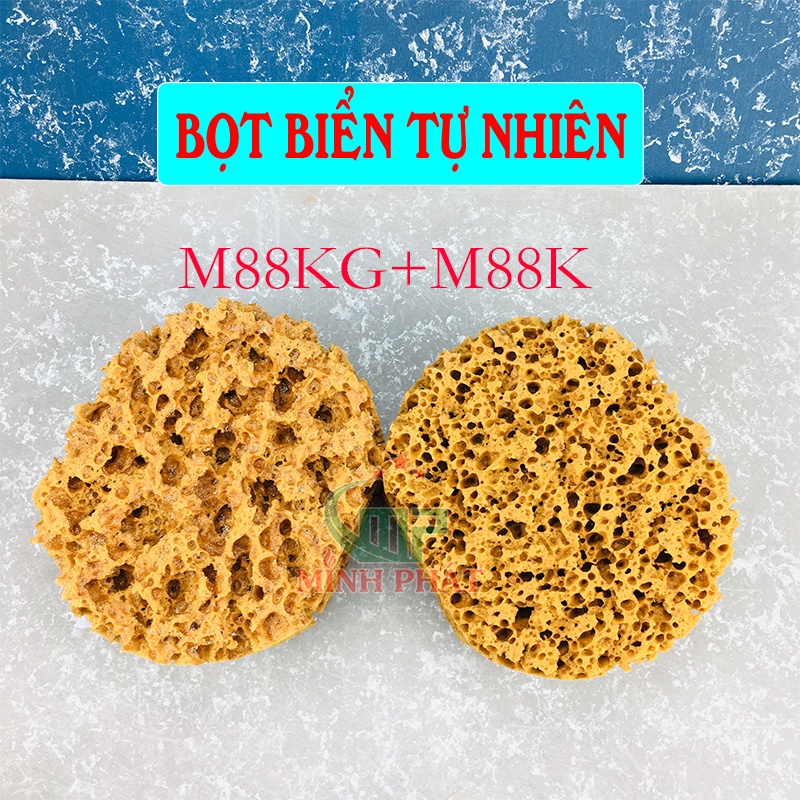 Bọt Biển Tạo Hiệu Ứng Sơn Trang Trí Tường Minh Phát, Miếng Mút Bọt Biển Tự Nhiên Sơn Hiệu Ứng Tường Siêu Đẹp