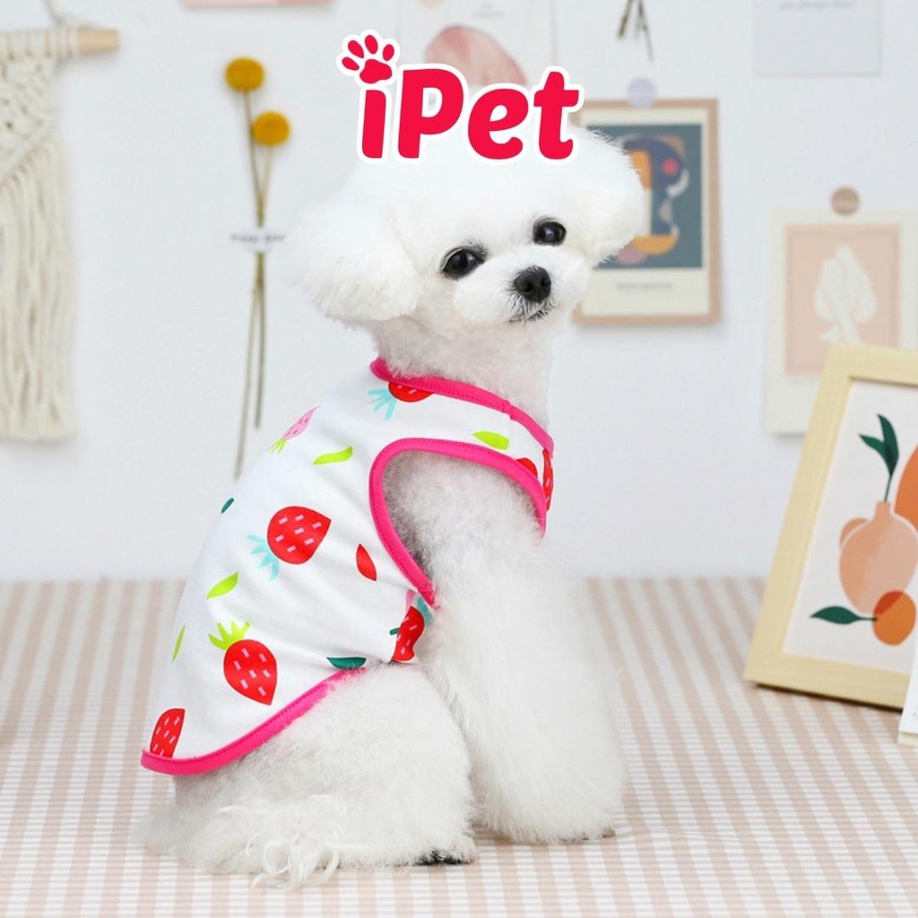 Áo thun ba lỗ trái cây dễ thương thoáng mát cho thú cưng chó mèo - iPet Shop