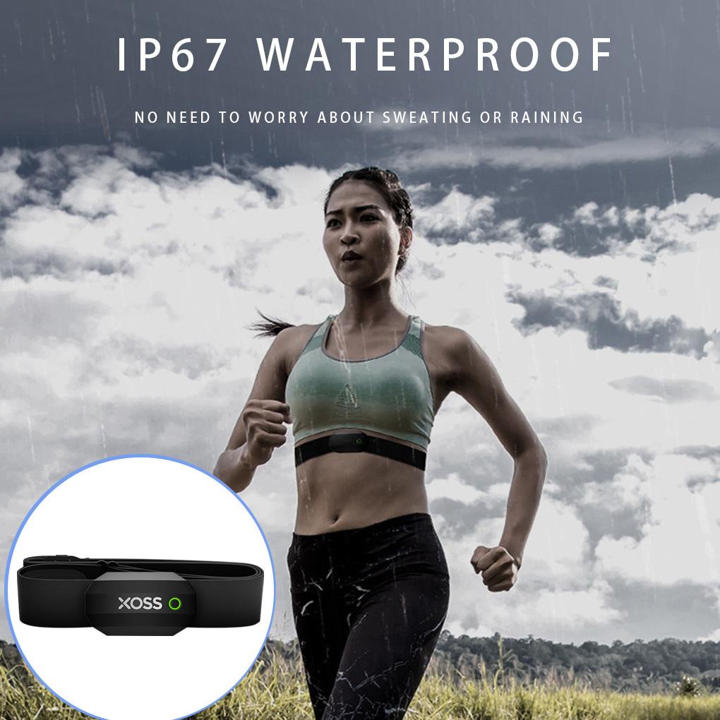 Đai Đeo Ngực 4 0 Chuyên Dụng Cho Tập Thể Dục Chạy Bộ