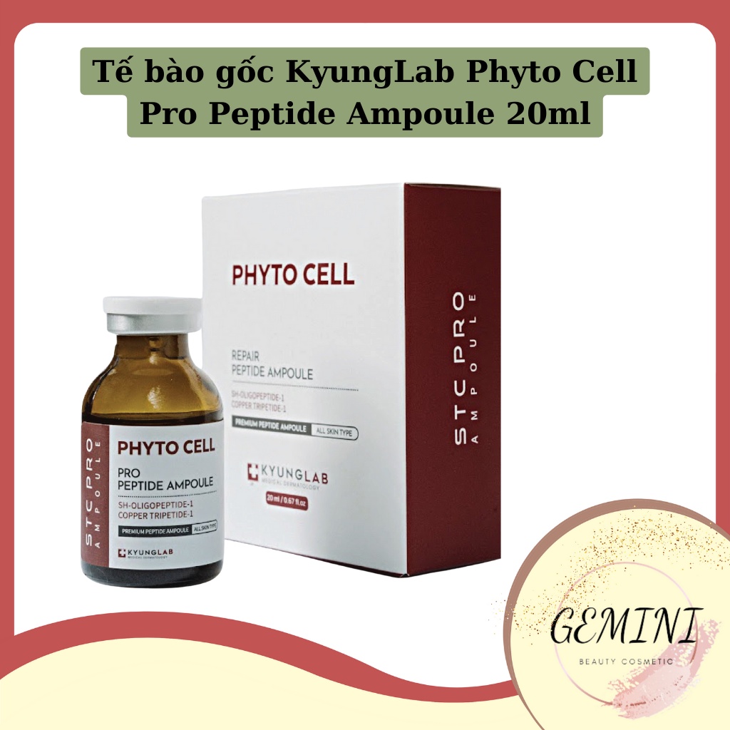 Tế bào gốc KyungLab Phyto Cell Pro Peptide Ampoule 20ml - Kyung Lab