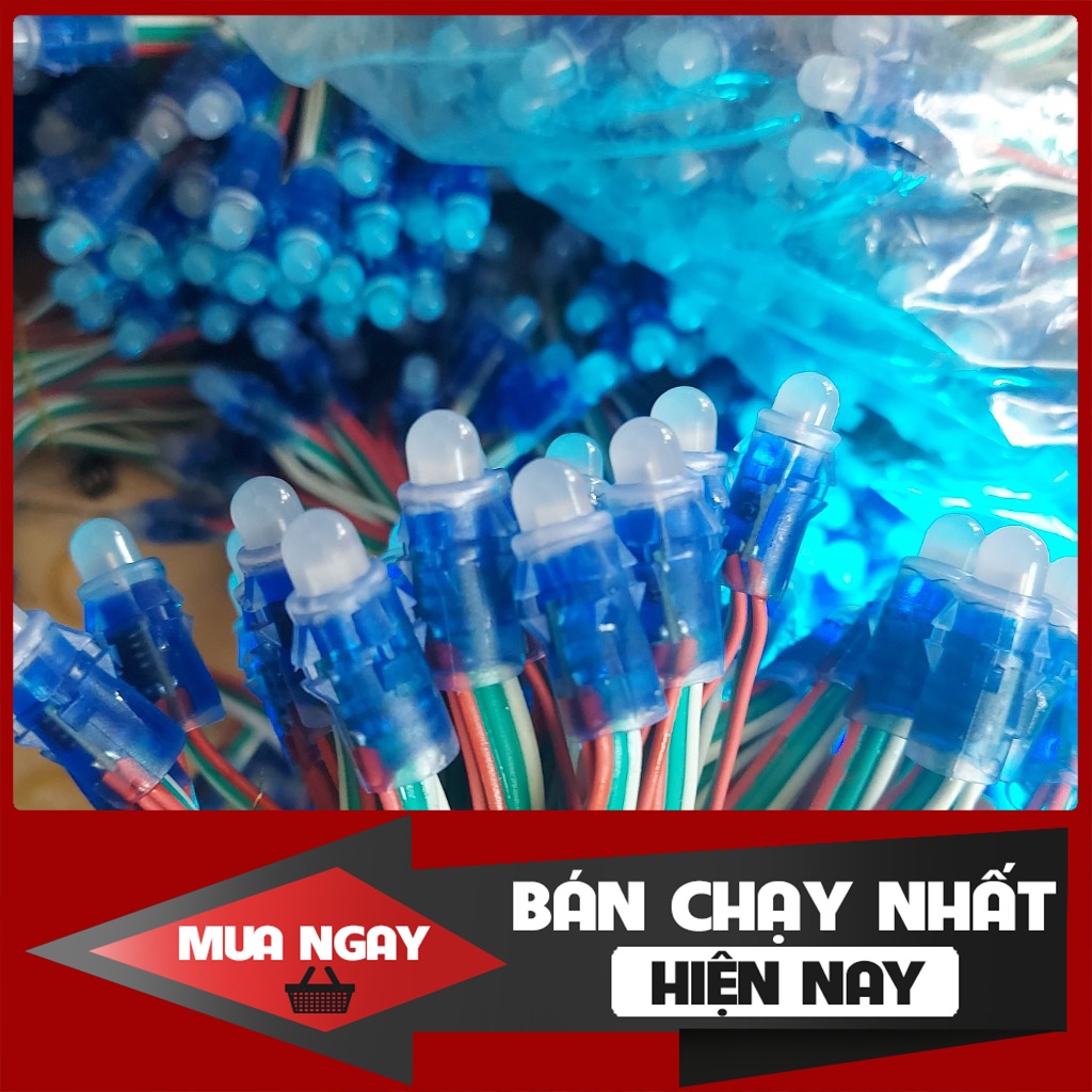 Led Đúc 1930, 2811 full màu chống nước, dây 50 bóng