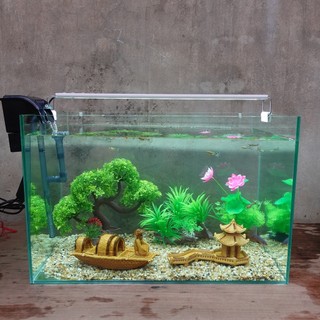 Set bể cá 50 cm với 8 món , 2 phụ kiện sứ to)
