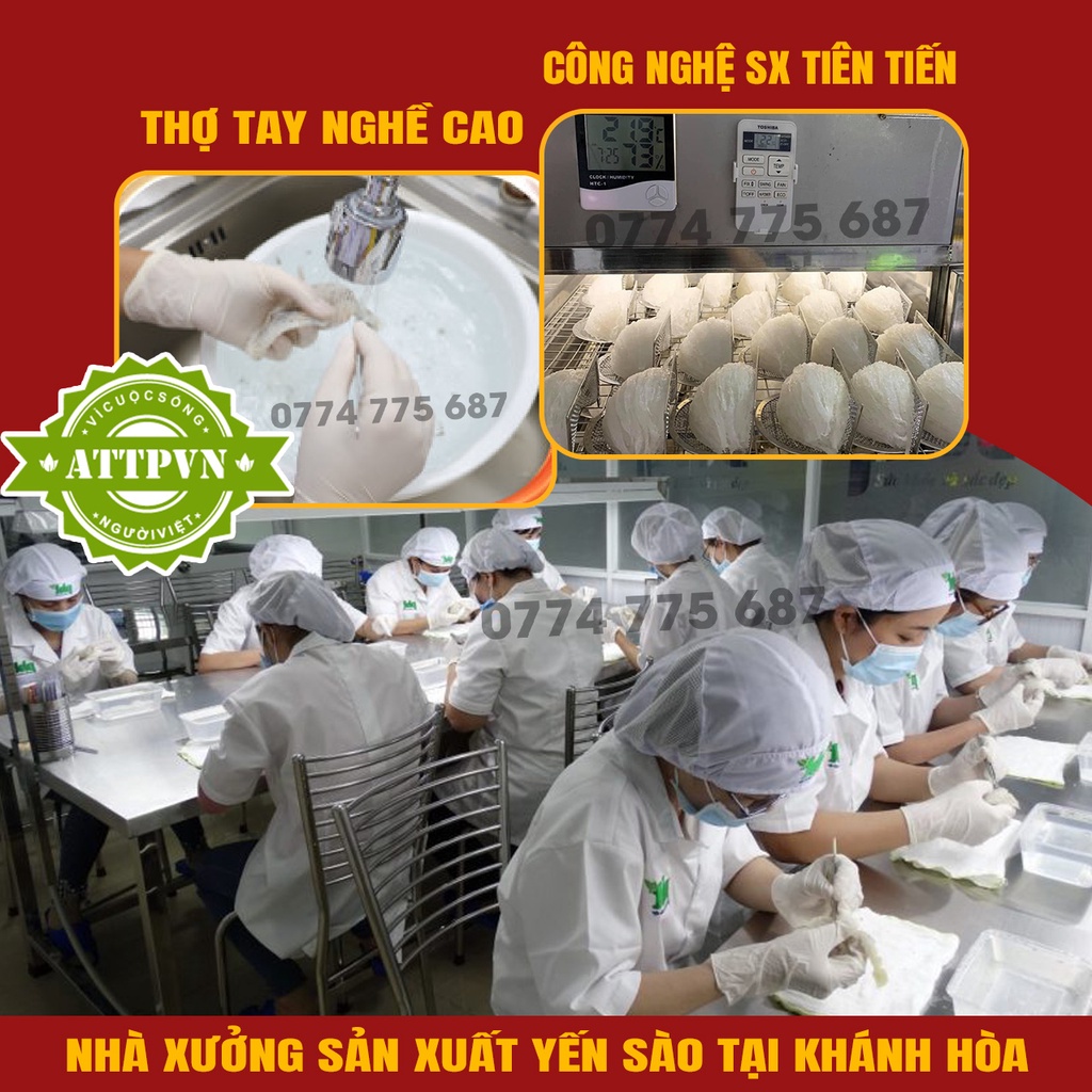 10 Yến Baby Tinh Chế Nguyên Chất Nha Trang Queen Nest Yến Vụn Sạch Lông Không Tẩy Trắng Cao Cấp