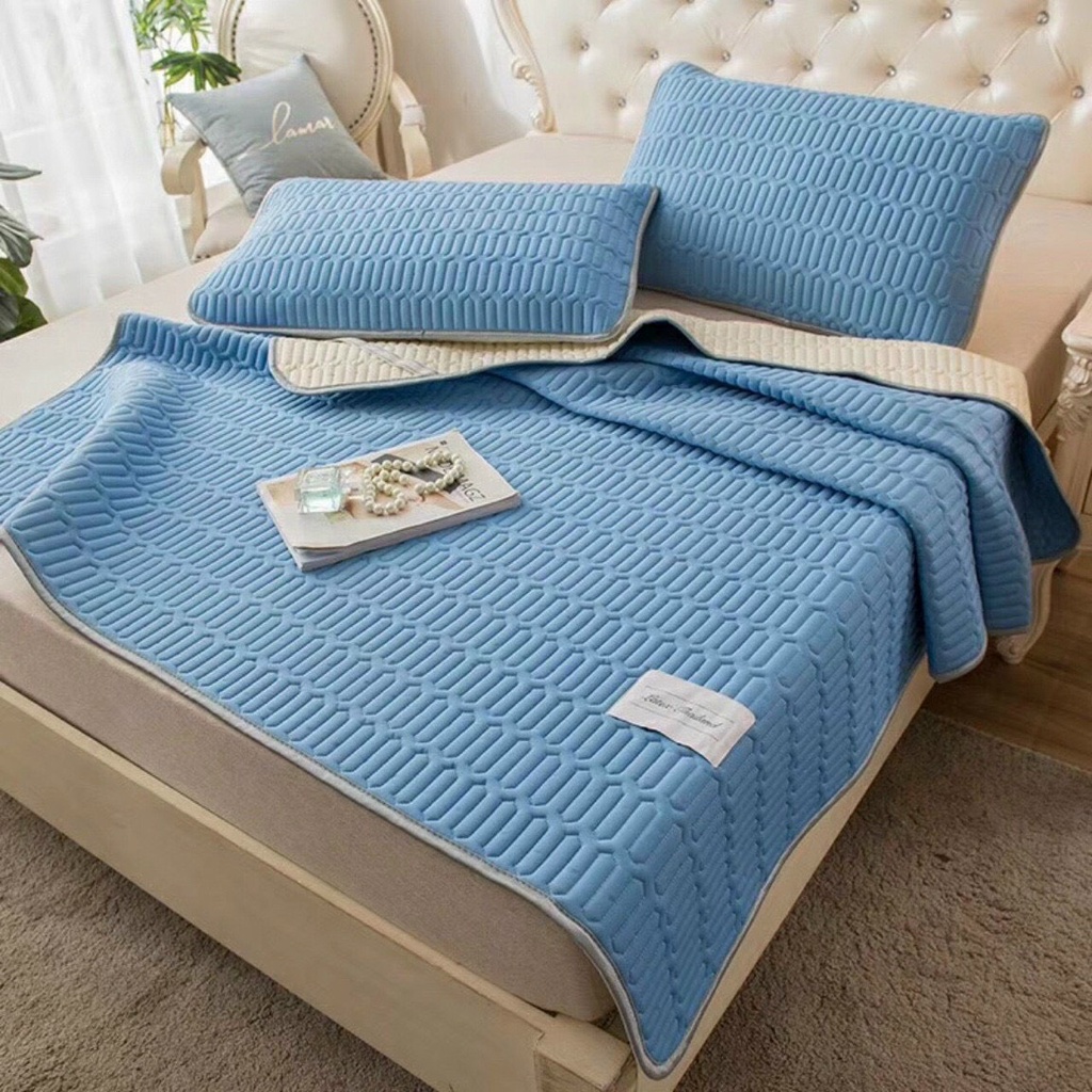 Chiếu Điều Hoà Cao Su Non  Mát Lạnh Chiếu Cao Su Mềm Mịn Nhập Khẩu Kèm 2 Vỏ Gôi Đầu