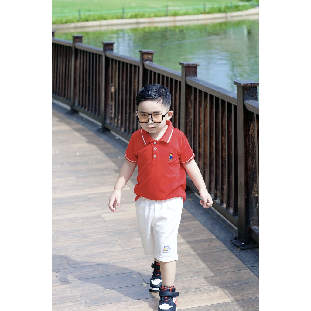Áo Polo cho bé, áo bé trai có cổ chất cotton 4 chiều thêu hình gấu