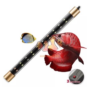 Đèn led chìm t8 quanlong 3 chế độ đổi màu dành cho hồ cá thủy sinh