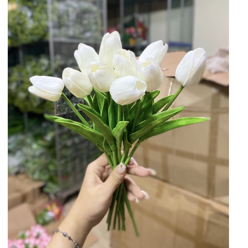 Hoa tuylip , hoa lụa decor