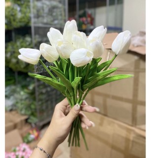 Hoa tuylip , hoa lụa decor