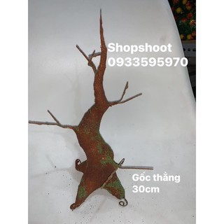 Gốc bonsai nghệ thuật đất sét