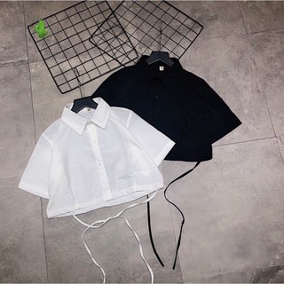 Áo sơ mi kate hàn quốc croptop cổ bẻ gài nút ngắn tay kèm dây cột eo ttpk0567