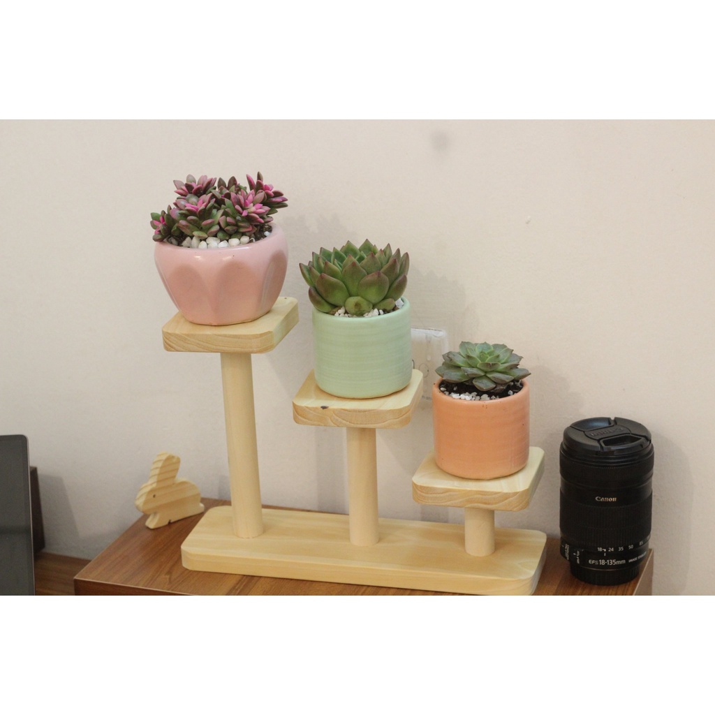 Kệ decor đựng chậu hoa sen đá, cây phong thủy gỗ thông tự nhiên bền đẹp