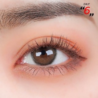 Chuốt Mi Espoir Nomudging Mascara Waterproof XP
