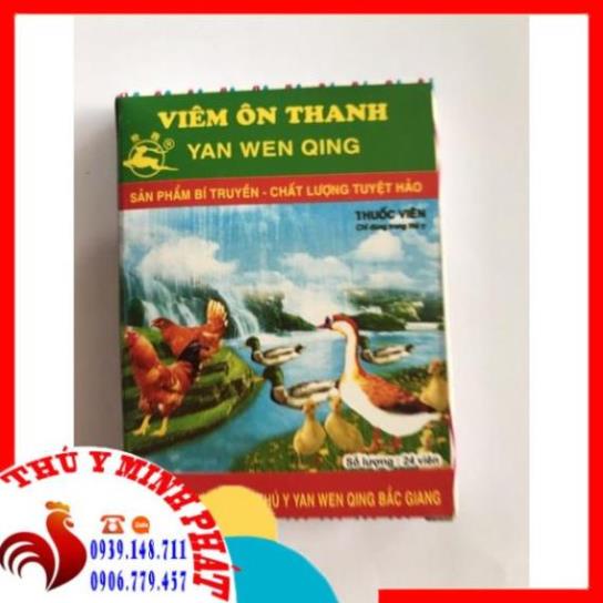 Viêm ôn thanh vỉ 24 viên